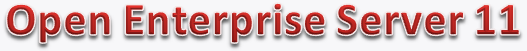 Novell Open Enterprise Server 11